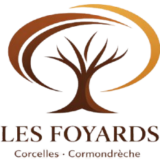 https://lesfoyards.ch/wp-content/uploads/2026/04/Logo_du_16.04.2026-1-160x160.png